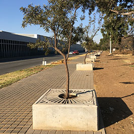 Germiston CBD Entrance - Tree Rings & Tree Surrounds