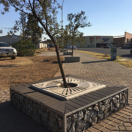 Germiston CBD Entrance - Tree Rings & Tree Surrounds